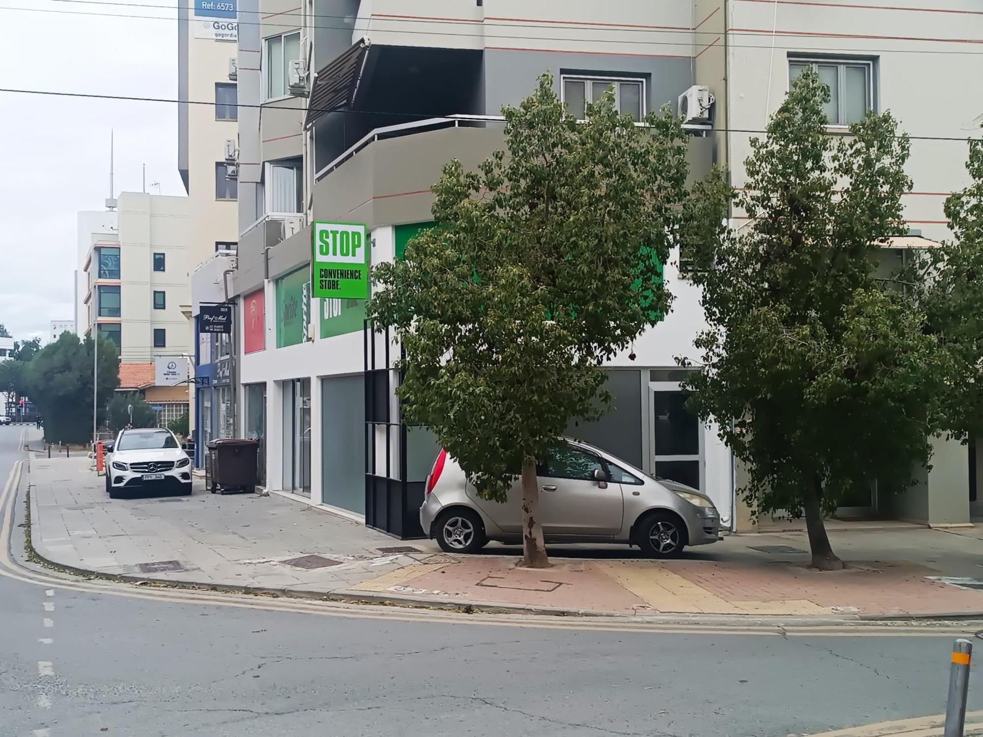 Markora Central Apartment Nikosia Bagian luar foto